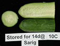 Stored cucumbers