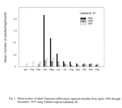 Mean number of adult Diaprepes abbreviatus