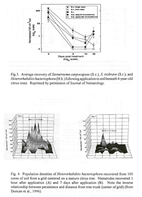 Average recovery of Steinernema