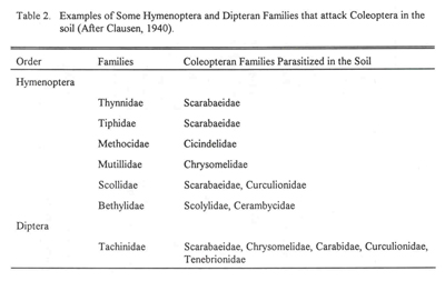 Some Hymenoptera and Dipteran families that attack Coleoptera
