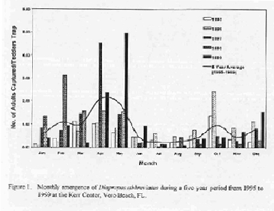 Monthly emergence of Diaprepes