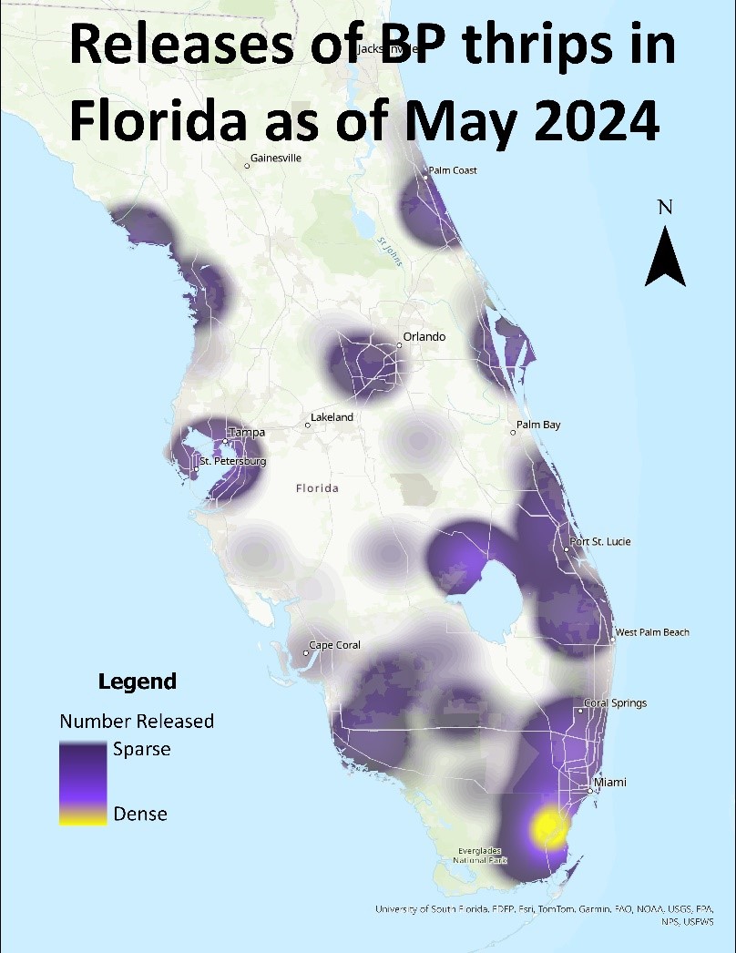 Florida state map showing thrip releases by location