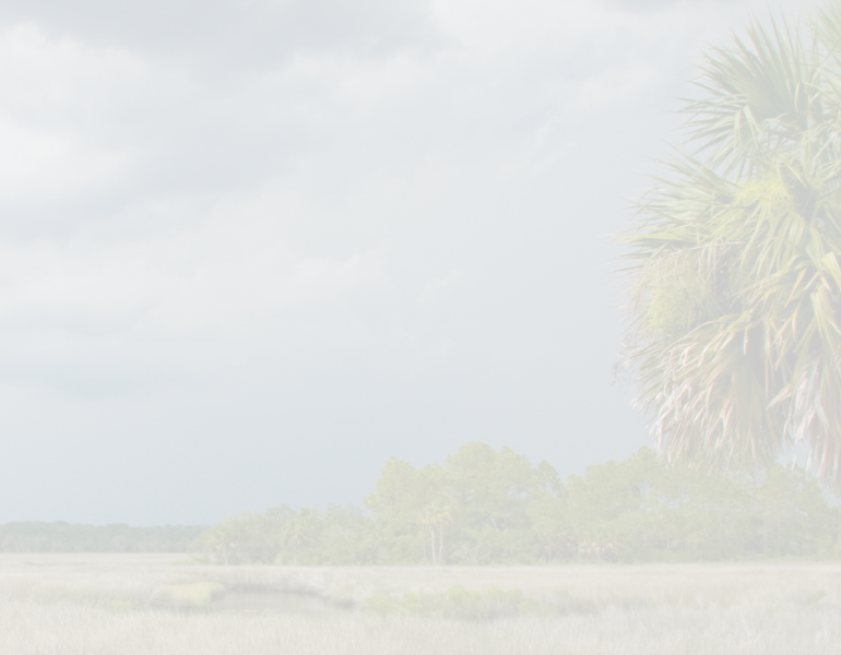 field landscape with a storm rolling in