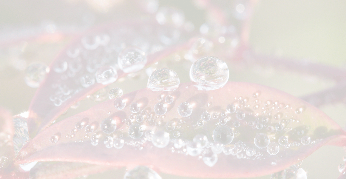 water dropplets thawing on a leaf