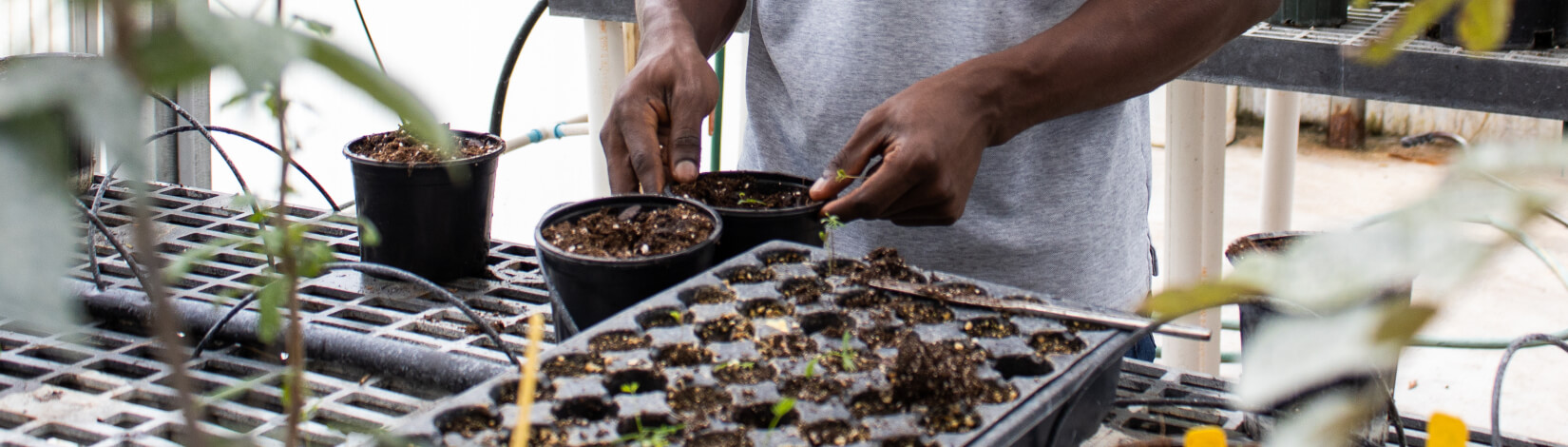 close up of researcher's hands in IRREC soil and water science laboratory