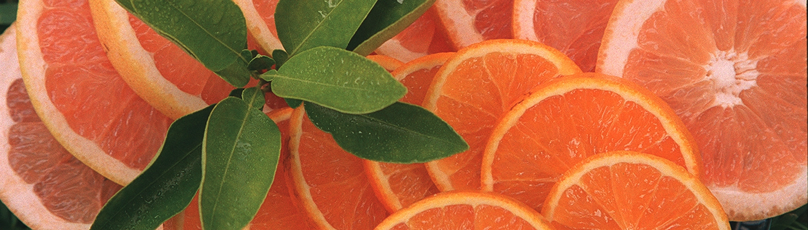 cut grapefruit slices