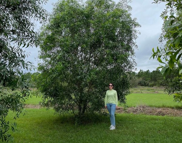 A person standing next to a tree.